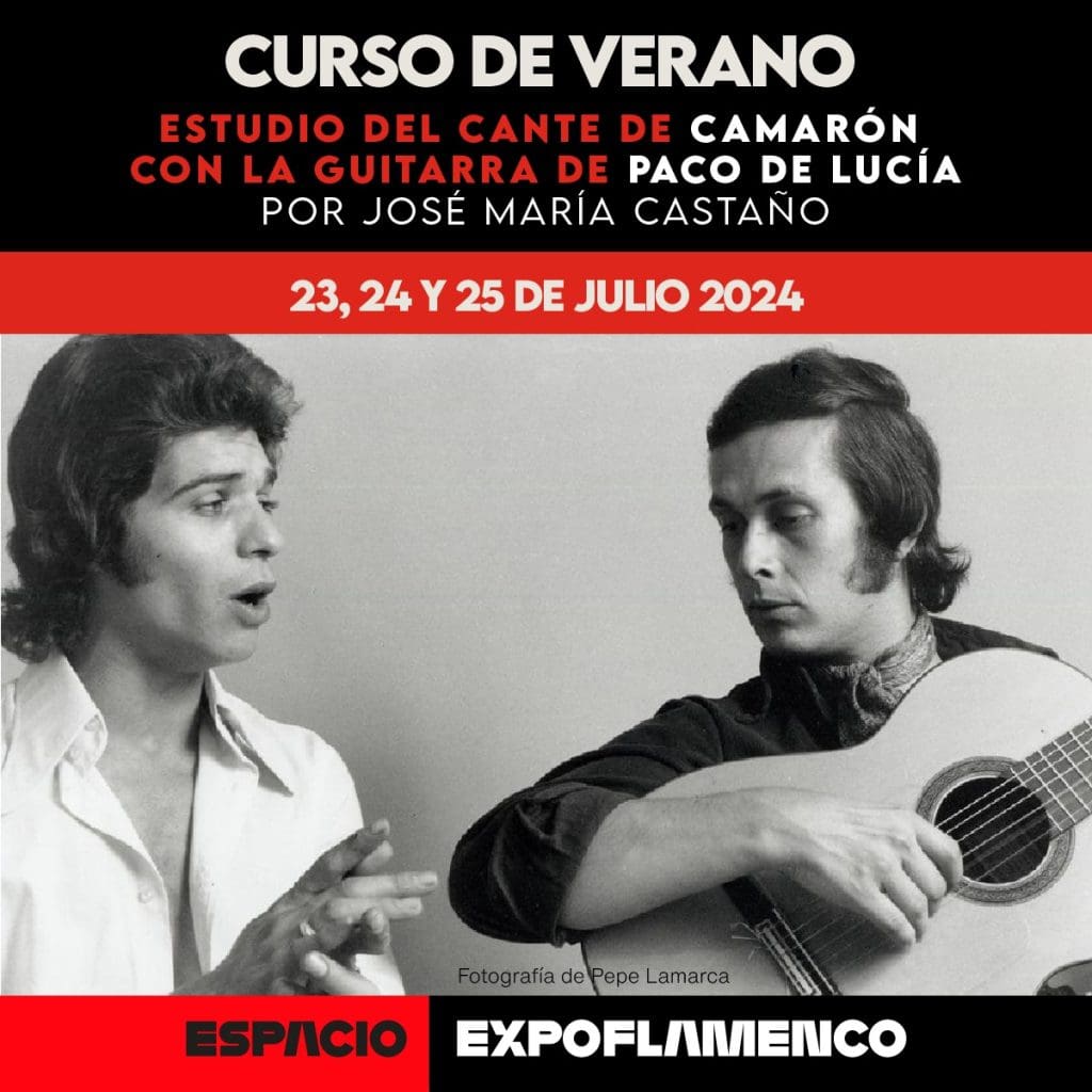 Curso de Verano