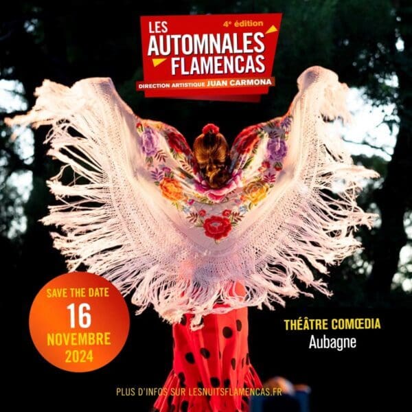 Dia Internacional del Flamenco Aubagne