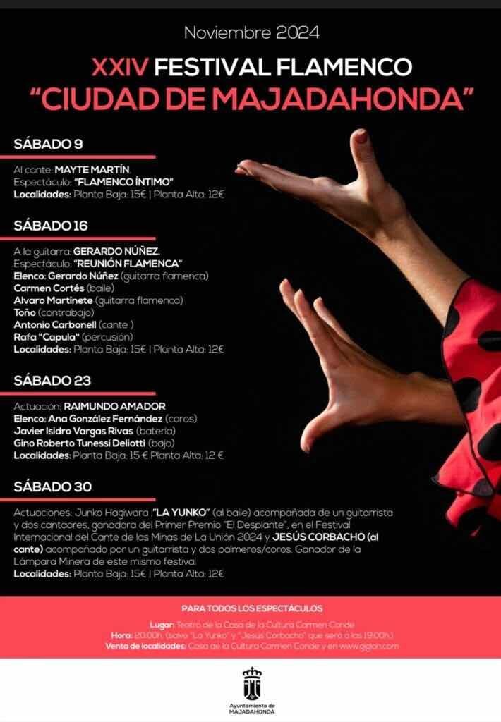 Dia Internacional del Flamenco Majadahonda