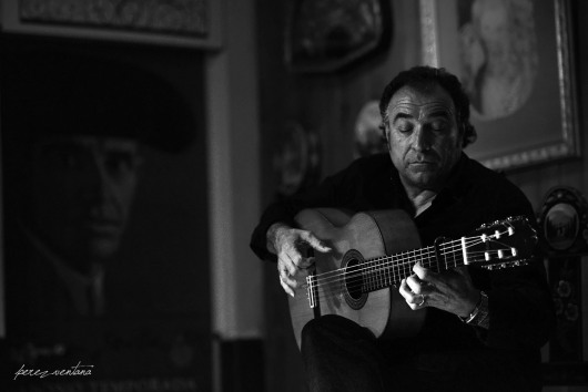 Carlos Amaya. Peña Cantes Al Aire, Sevilla. Abril 2019. Foto: perezventana