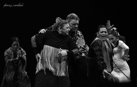 Eva Yerbabuena, Milagros Mengíbar, Antonio Canales, Farruca, Rosario Toledo. Homenaje a Carmelilla Montoya. Fibes Sevilla, diciembre 2019. Foto: perezventana