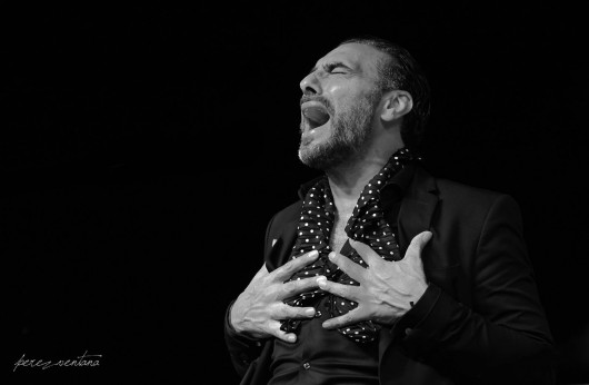 Pedro el Granaíno. Festival Flamenco La Isleta del Moro, Almería. Agosto 2018. Foto: perezventana