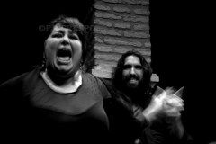 Inmaculada Rivero y Jesús Flores. Museo de Baile Flamenco, Sevilla. 2015. Foto: FJ Crespo