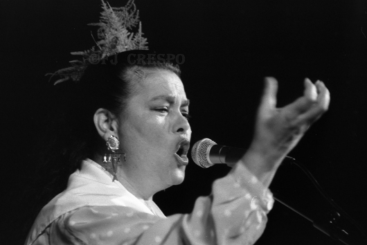 Juana Silva Esteban, Juana la del Revuelo. Bienal de Flamenco de Sevilla, 1996.  Foto: FJ Crespo