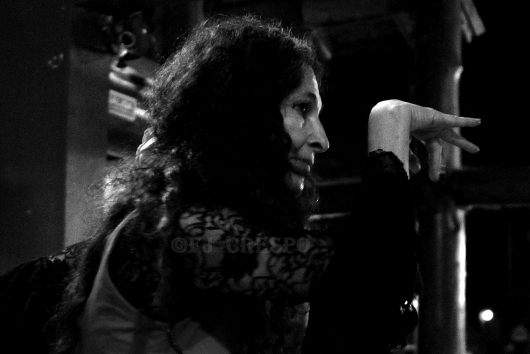 Myrna Fieg. Flamenco Patagónico. Lago Puelo (Chubut) Argentina, 2019. Foto: FJ Crespo