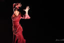 Alba Heredia. Ciclo Flamenco Viene del Sur. Teatro Central, Sevilla. Foto: Quico Pérez-Ventana