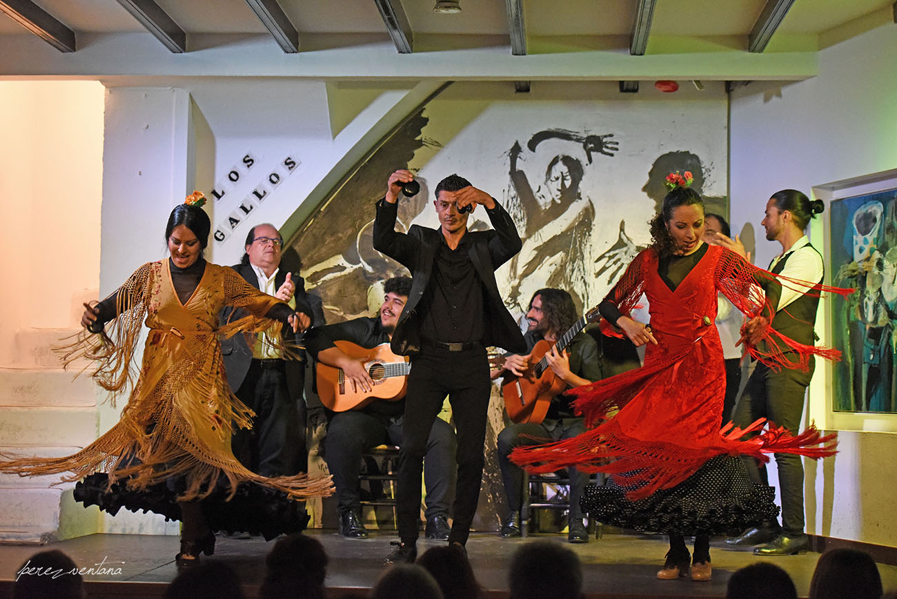 Al baile, Mercedes de Córdoba, Rafael Campallo y Rosario Toledo. Espectáculo 'Guitarra, cante y baile flamencos' en el Tablao Los Gallos, Sevilla. Foto: Quico Pérez-Ventana