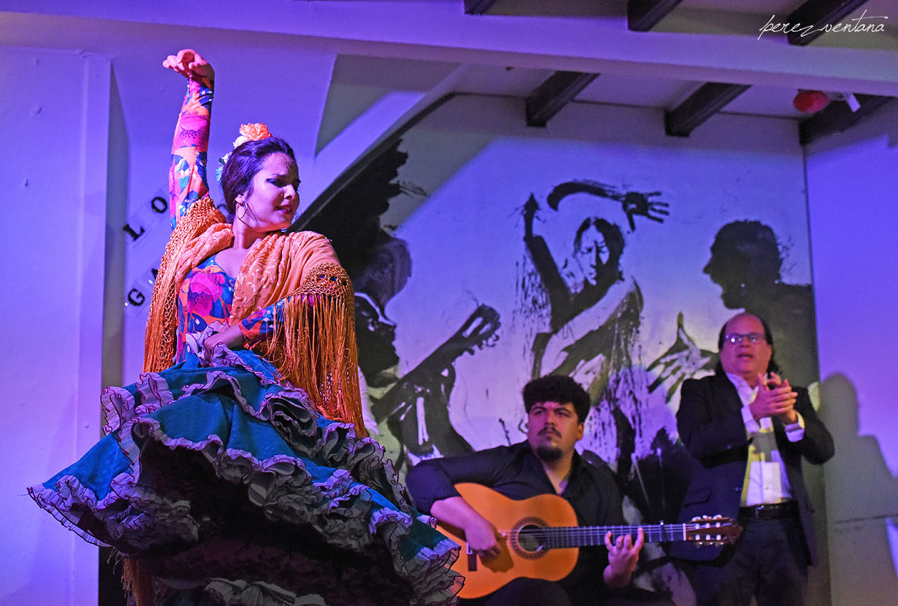 La bailaora Sandra Cisneros. Espectáculo 'Guitarra, cante y baile flamencos' en el Tablao Los Gallos, Sevilla. Foto: Quico Pérez-Ventana