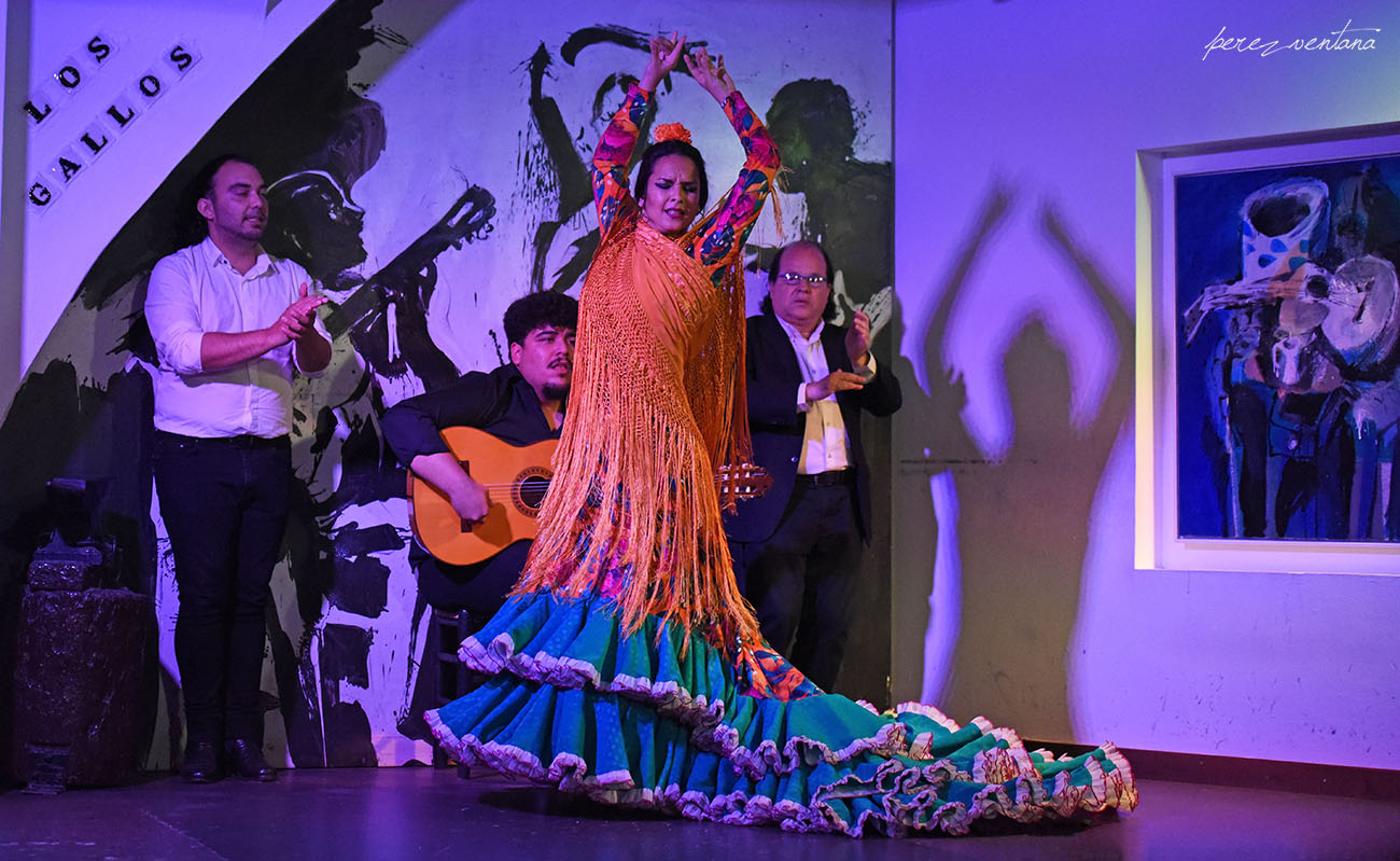 La bailaora Sandra Cisneros. Espectáculo 'Guitarra, cante y baile flamencos' en el Tablao Los Gallos, Sevilla. Foto: Quico Pérez-Ventana