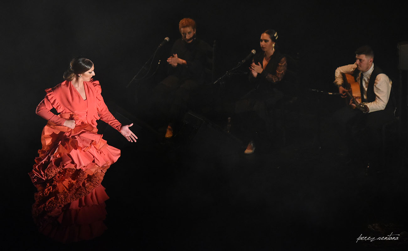 La bailaora Paula Salazar. Gala de Ganadores del concurso Talento Flamenco, Fundación Cristina Heeren. Ciclo Flamenco Viene del Sur. Teatro Central, Sevilla. Foto: Quico Pérez-Ventana