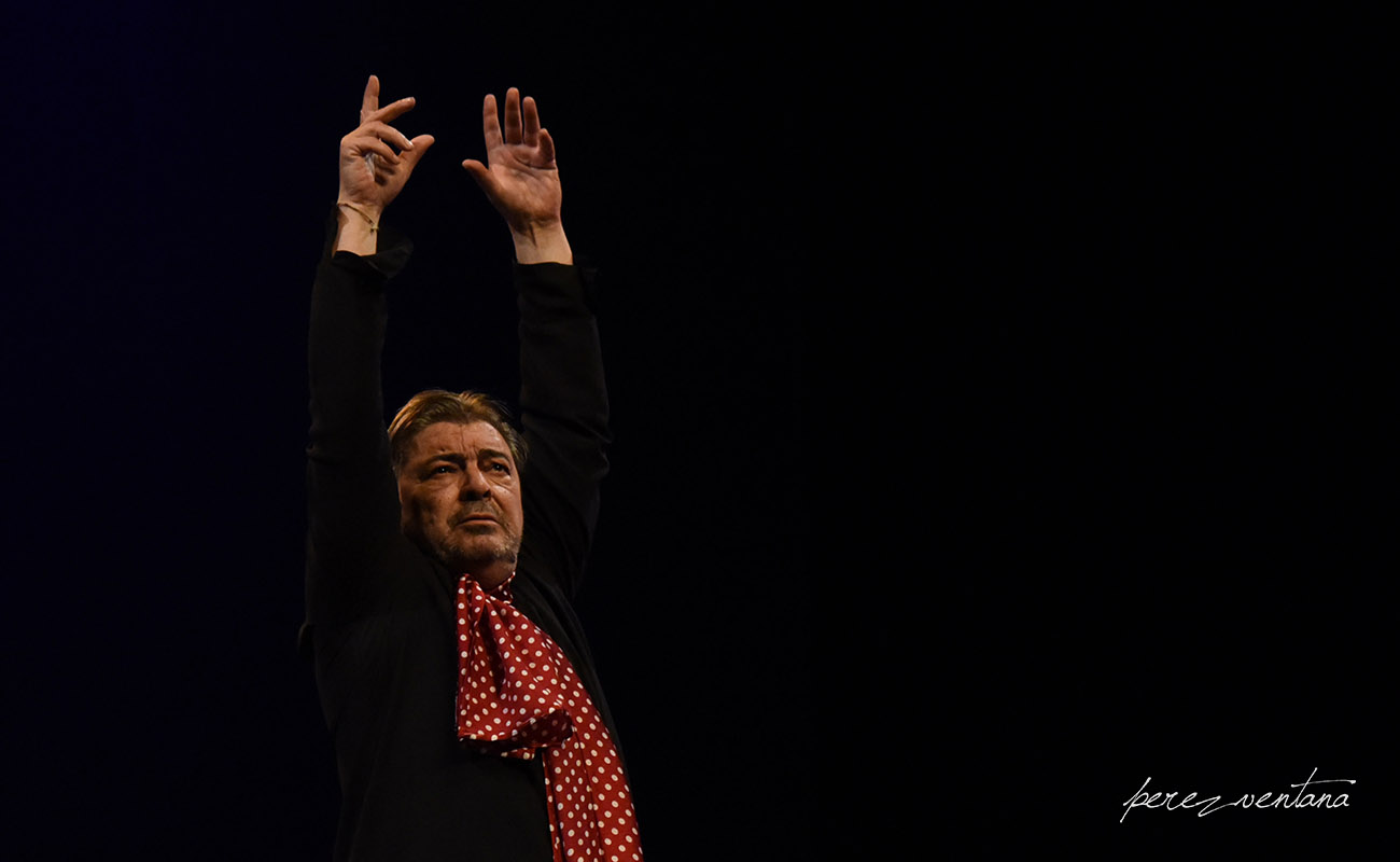 El bailaor Antonio Canales, en el homenaje a Carmelilla Montoya. Fibes, Sevilla. Diciembre 2019. Foto: perezventana