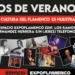 cartel-cursos-verano-2024