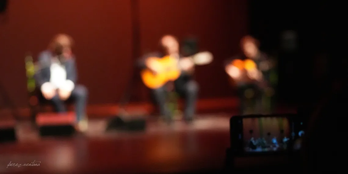 Espectáculo flamenco. Foto: perezventana
