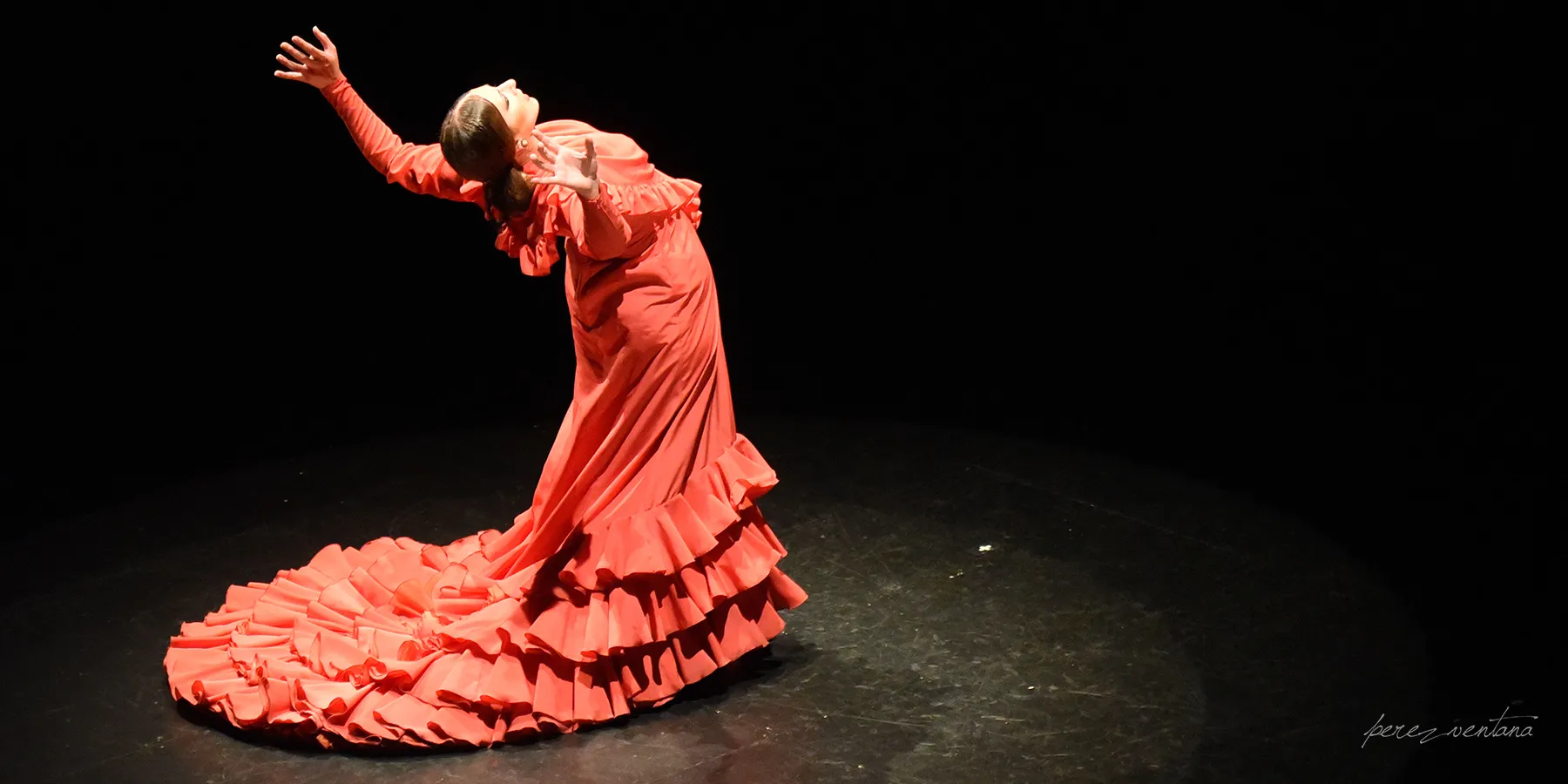 La mujer flamenca. Foto: perezventana