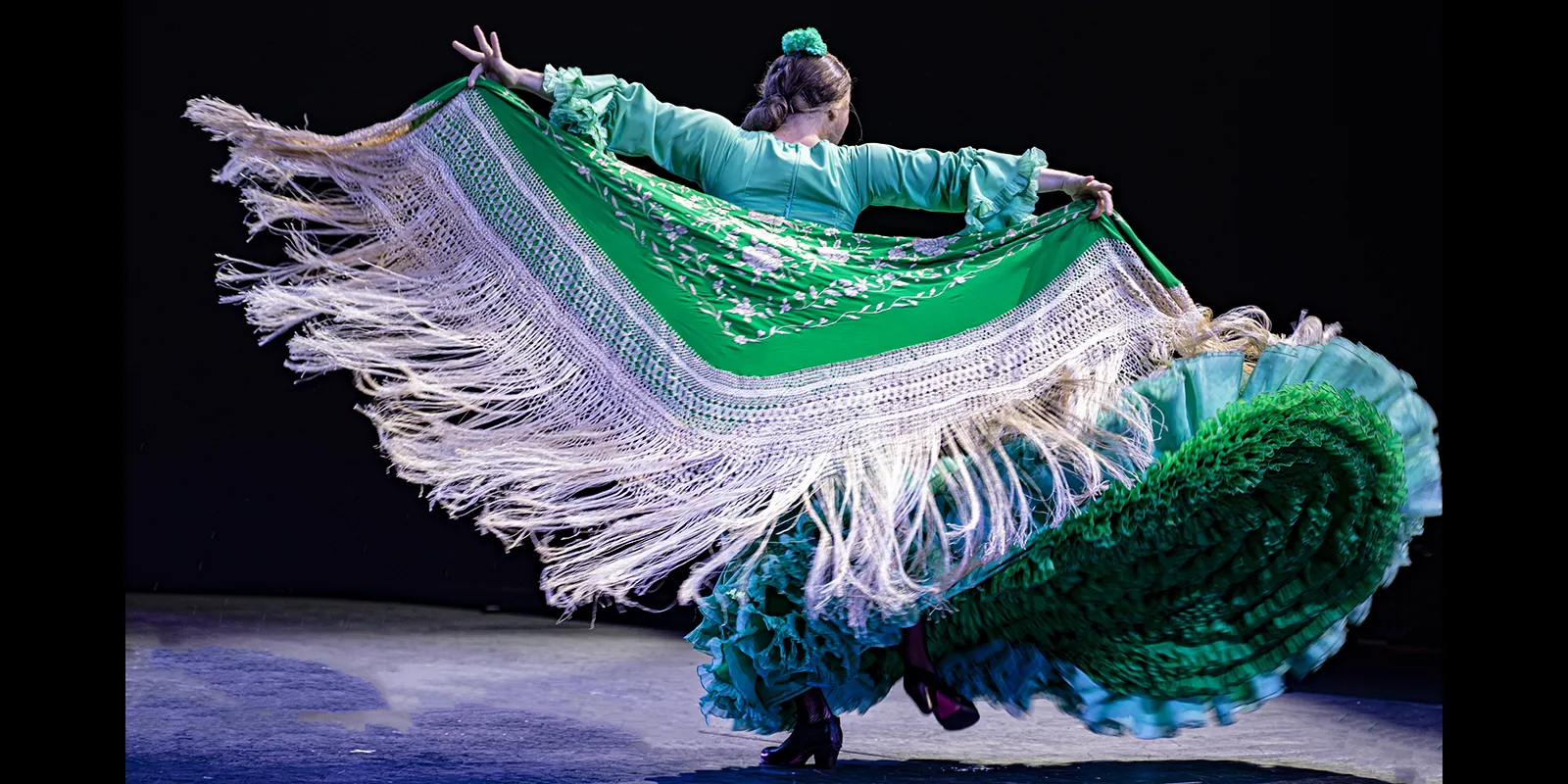 'Bailaor@', de Manuel Liñán.