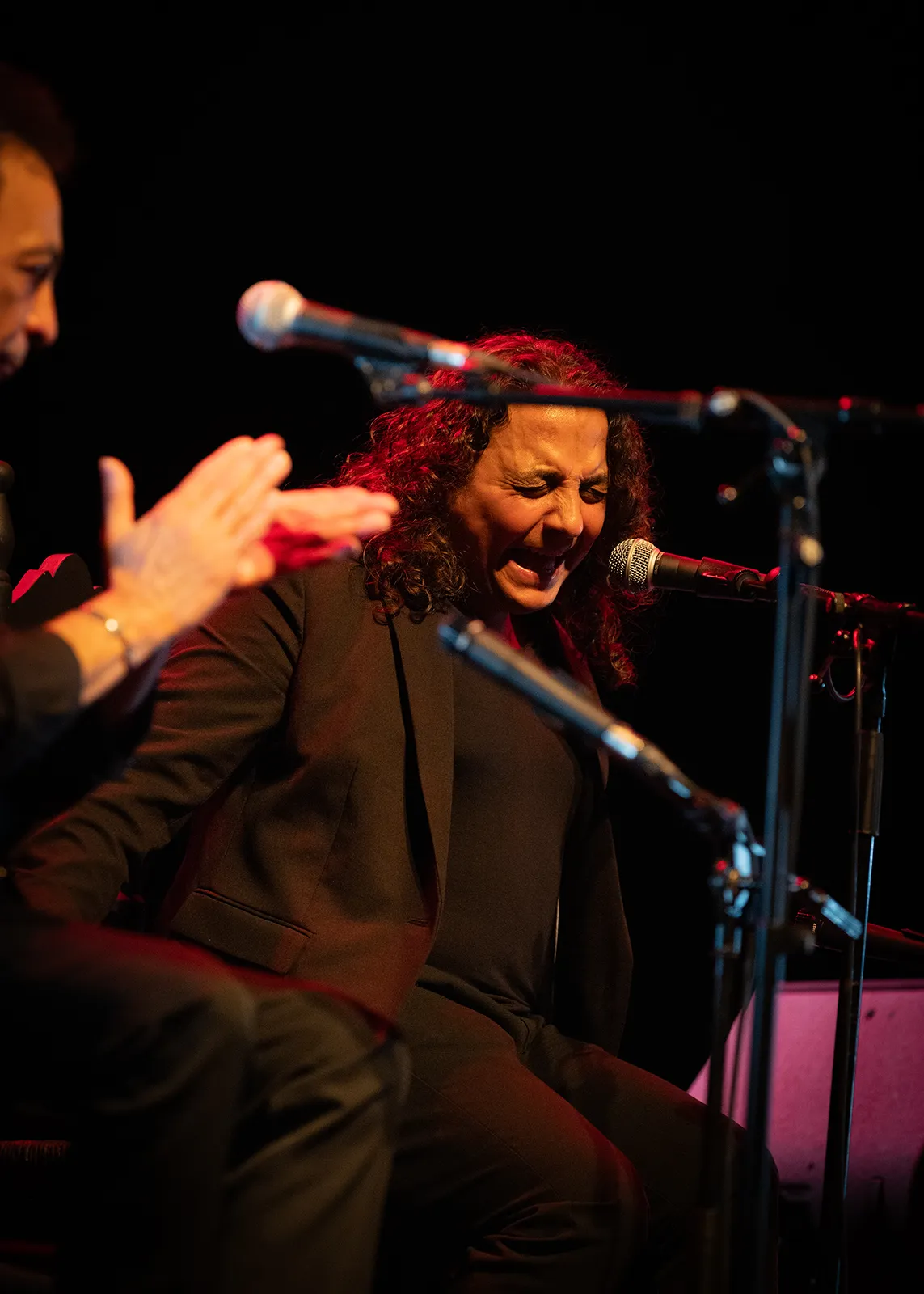 Recital de guitarra de Tomatito. Festival Flamenco de Nîmes. Teatro de Nîmes, Bernadette Lafont. 15 feb 2026. Foto: Sandy Korzekwa