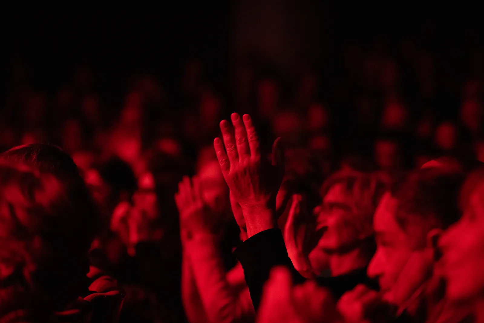 Recital de guitarra de Tomatito. Festival Flamenco de Nîmes. Teatro de Nîmes, Bernadette Lafont. 15 feb 2026. Foto: Sandy Korzekwa