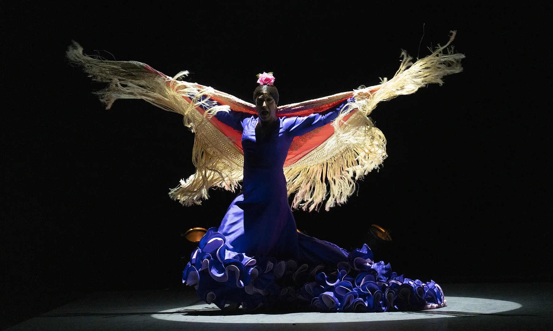 'Bailaor@. Recital de bailes', de Manuel Liñán. XXIV Bienal de Flamenco de Sevilla. Teatro de la Maestranza. 23 sep 2026. Foto: Archivo fotográfico Bienal @Laura León