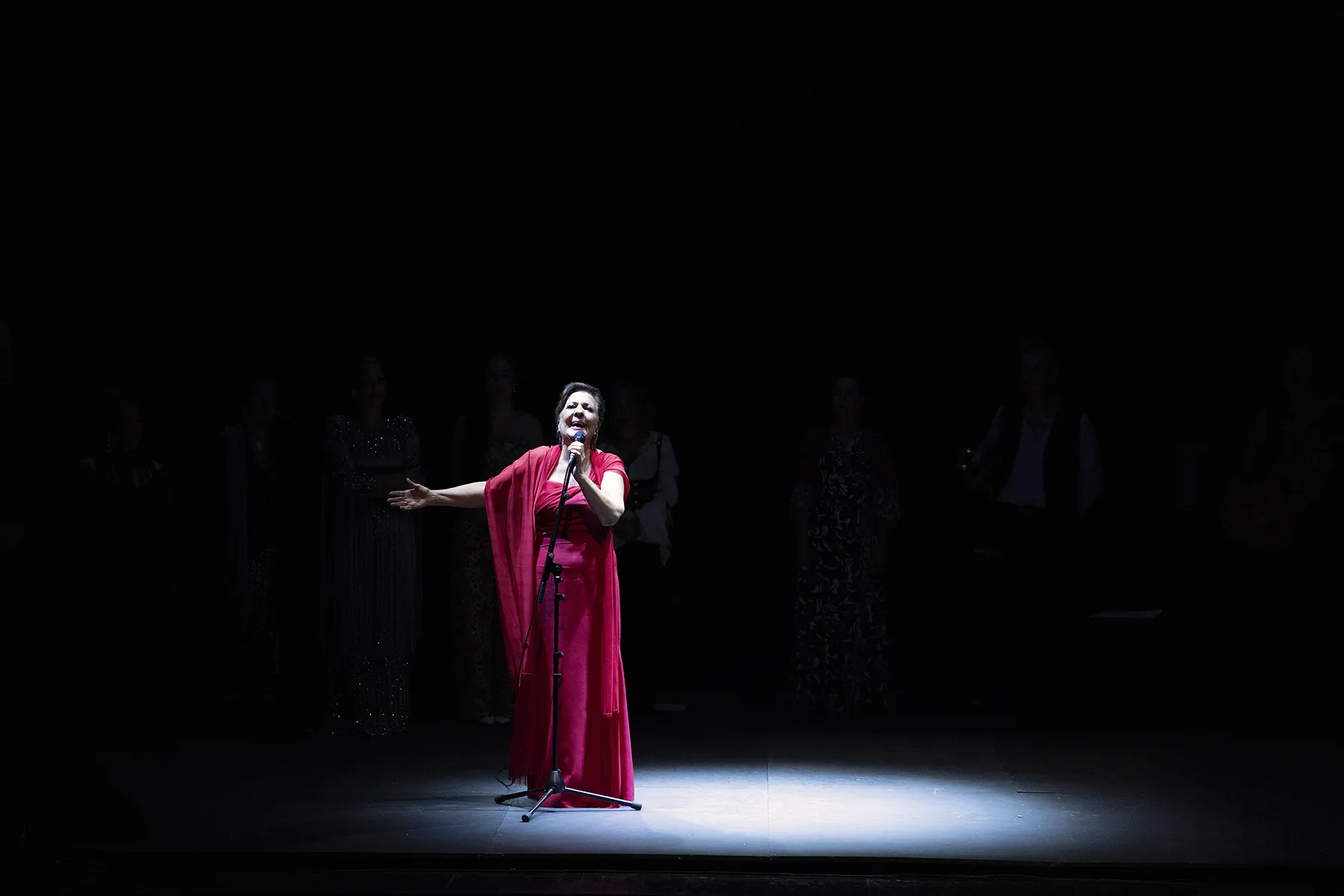 'Perlas a millares (30º aniversario de la Antología de la Mujer en el Cante)', de Carmen Linares. XXIV Bienal de Flamenco de Sevilla. Teatro de la Maestranza. 3 oct 2026. Foto: Archivo fotográfico Bienal @Laura León
