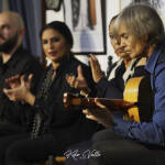 Recital de Amparo La Repompilla. Peña Torres Macarena, Sevilla. 25 enero 2025. Foto: Kiko Valle