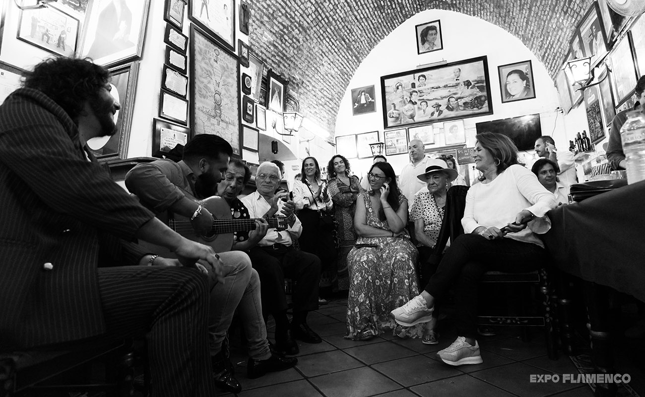 Cómo Usar la Comunidad de expoflamenco