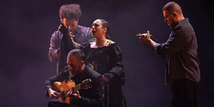 'Manifiesto', de María Terremoto. Foto: Universal Music