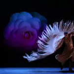'La maharaní', de Compañía Luisa Palicio. IX Bienal de Arte Flamenco de Málaga. Teatro Cervantes. 27 mayo 2025. Foto: Lorenzo Carnero