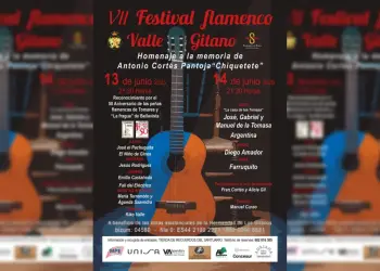 VII Festival Flamenco Valle Gitano poster