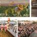Agenda actividades Espacio expoflamenco Jerez 1 al 15 de septiembre 2025