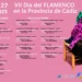 Cartel dia del flamenco de Cádiz 2025