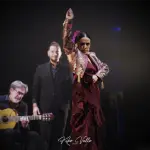 Espectáculo flamenco de Eva Yerbabuena. LXIV Festival de Cante Jondo Antonio Mairena. Teatro Municipal Calixto Sánchez, Mairena del Alcor, Sevilla. 3 sep 2025. Foto: Kiko Valle