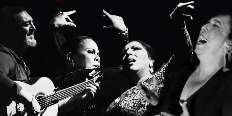 Artistas del Ciclo Otoño de Casa Flamenca en Alburquerque.