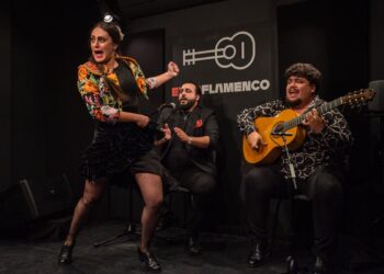 Imagen de archivo del Espacio Expoflamenco Jerez. Foto: Roksaneh Fotovat